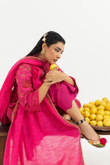 Sana Safinaz | Mahay Winter 25 | H255-008A-2Q