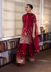 Hussain Rehar | SS Luxury Pret 25 | Rasp