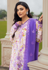 Humdum | Diva 24 | Diva - D05