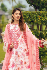 Humdum | Diva 24 | Diva - D07