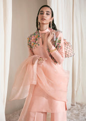 Hussain Rehar | Basic Not Basic | ORYZA