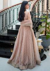 Rang-e-Haya | 3 piece Wedding Formal | Amouria Embellished