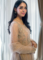 Rang-e-Haya | 3 piece Wedding Formal | Amouria Embellished