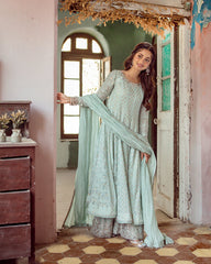 Faiza Saqlain | Embroidered Chiffon | NAAZ