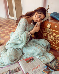 Faiza Saqlain | Embroidered Chiffon | NAAZ