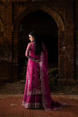 Nyra | Wedding Festive | Mushq