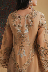 Shamaeel Ansari | Majestic Legacy | Amber Elixir