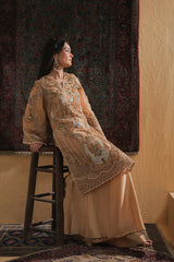 Shamaeel Ansari | Majestic Legacy | Amber Elixir