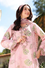 Rangrasiya | Lifestyle Summer 26 | Ivy