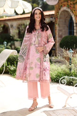 Rangrasiya | Lifestyle Summer 26 | Ivy