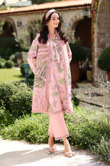 Rangrasiya | Lifestyle Summer 26 | Ivy