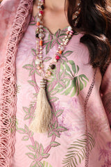 Rangrasiya | Lifestyle Summer 26 | Ivy