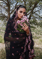 Hussain Rehar | Jinan 26 | Kashmala