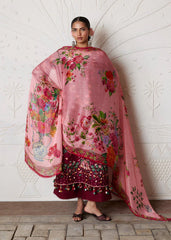 Hussain Rehar | Zan SS26 | Kestane