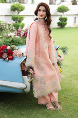Rangrasiya | Florence Luxury Festive Edit 26 | Laleh
