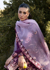 Hussain Rehar | Jinan 26 | Lyla