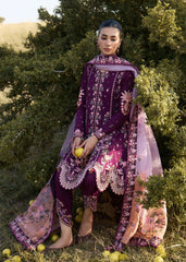 Hussain Rehar | Zan SS26 | Lyla