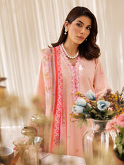 Rajbari | Nissa Chikankari Edition 25 | D# - 03