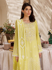 ajbari | Nissa Chikankari Edition 25 | D# - 02