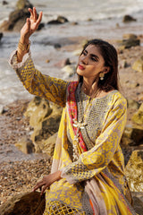 Charizma | Lawn Collection 24 | AS4-11