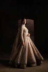 Nyra | Wedding Festive | Mehmal