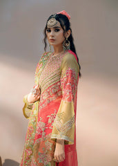 Fozia Khalid | Chamakh Dhamakh Wedding Festivity | Doli