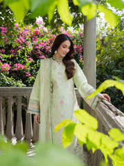Mahnur | Amaya Lawn 26 |MU-13