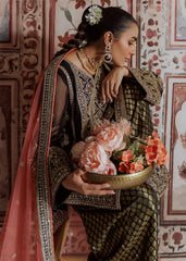 Mahgul | Portraits of Anaya | Coral Onyx