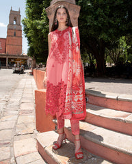 Mushq | Odyssey Lawn 26 | Marta