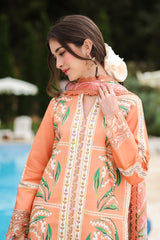 Rangrasiya | Lifestyle Summer 26 | Mellow