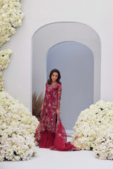 Mina Hasan | Luxury Pret | Heer