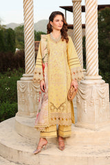 Rangrasiya | Florence Summer Edit 26 | Mirha