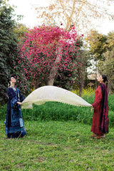 Ramsha | Riwayat Lawn Collection | Y-1204