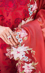 Asifa and Nabeel | Luxury Winter 24 | ROUGE WL-08
