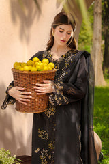 Rangrasiya | Luxury Eid Collection | Layl