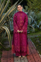 Rangrasiya | Luxury Eid Collection | Ayra