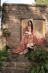 Noor by Saadia Asad | Suzaankari Winter 24 | D09