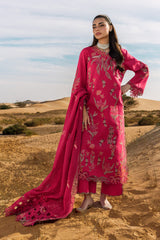 Rangrasiya | Premium Summer Collection 26 | Safa