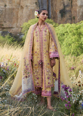 Hussain Rehar | Jinan 26 | Sonal