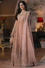 Elan | Wedding Festive 23 | Ariana