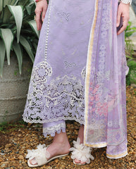 Mushq | The Secret Garden Lawn | Velvet Ivy