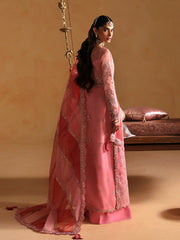 Gulaal | Wedding 25 | Areeman
