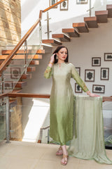 Wahaj M Khan | The Print Story | Sage Green Shaded Outfit