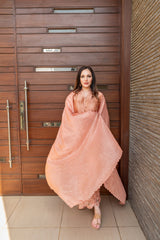 Wahaj M Khan | The Print Story | Salmon Peach Sheesha Outfit