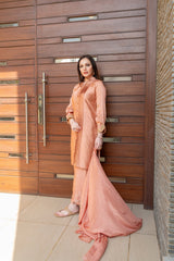 Wahaj M Khan | The Print Story | Salmon Peach Sheesha Outfit