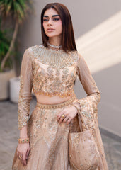 Waqas Shah | Amariage Luxury Formals | Golden Patel