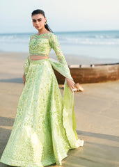 Waqas Shah | Amariage Luxury Formals | Mint Bloom