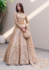 Waqas Shah | Amariage Luxury Formals | Golden Patel
