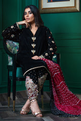 Wardha Saleem | Velvets Winter Fall 24 | Parvaz