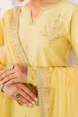 Naqshi | Festive Eid 26 | Pariya